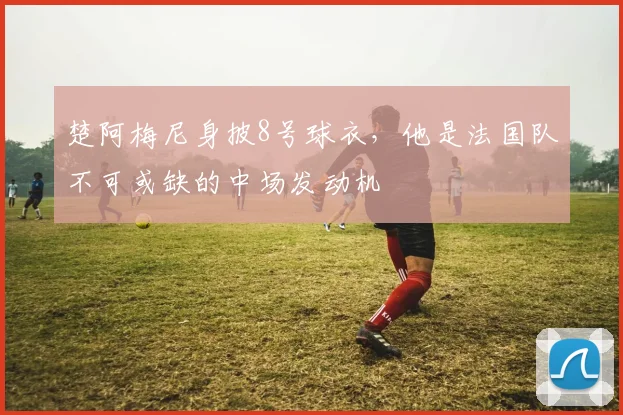楚阿梅尼身披8号球衣,他是法国队不可或缺的中场发动机
