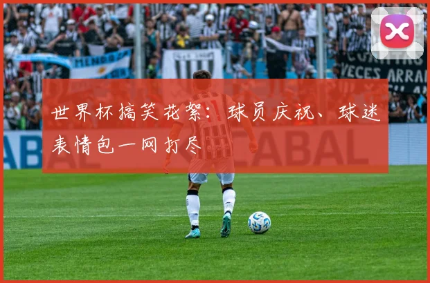 世界杯搞笑花絮：球员庆祝、球迷表情包一网打尽